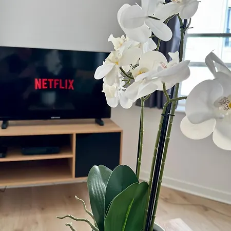 Charmants 2 Pièces - Hyper Centre De Appartement Rouen