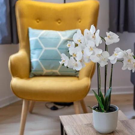 Appartement Charmants 2 Pièces - Hyper Centre De *