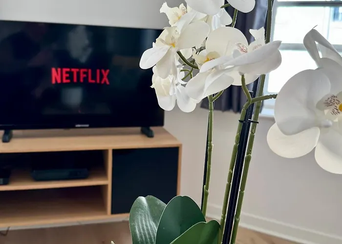 Charmants 2 Pieces - Hyper Centre De Apartment Rouen