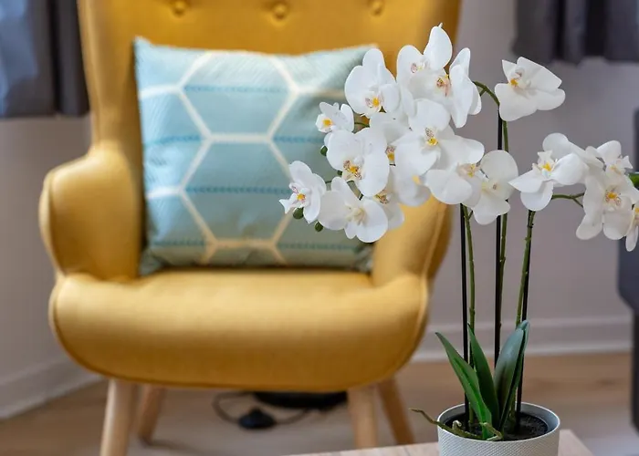 Apartment Charmants 2 Pieces - Hyper Centre De *